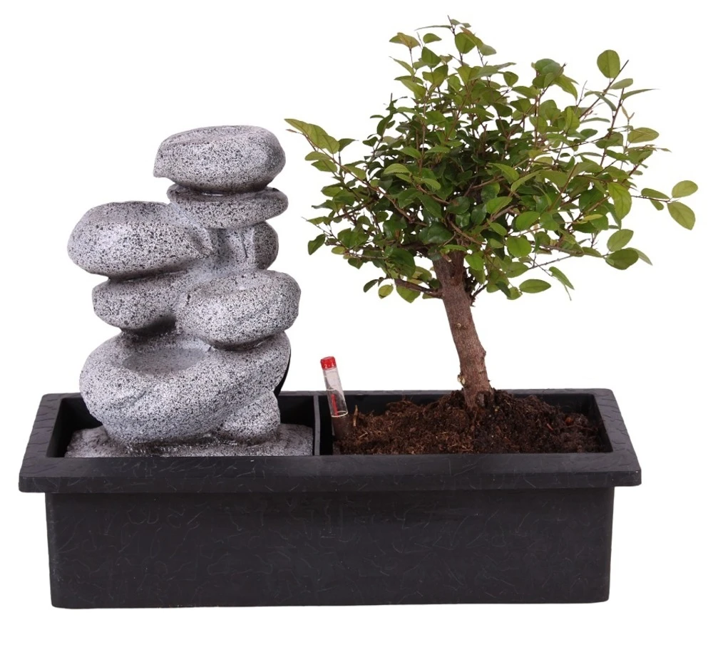 Set Bonsaï Et Cascade-pierres - Support L.30cm- H.25-30cm 1 Set Bonsaï Et Cascade-pierres - Support L.30cm- H.25-30cm