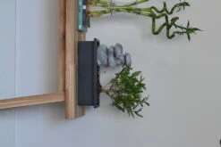 Set Bonsaï Et Cascade-pierres - Support L.30cm- H.25-30cm 9 Set Bonsaï Et Cascade-pierres - Support L.30cm- H.25-30cm -Emerald Soldes 6422e176bdde43.86636099