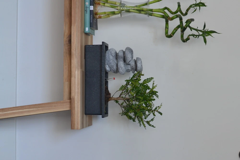 Set Bonsaï Et Cascade-pierres - Support L.30cm- H.25-30cm 4 Set Bonsaï Et Cascade-pierres - Support L.30cm- H.25-30cm – Image 4