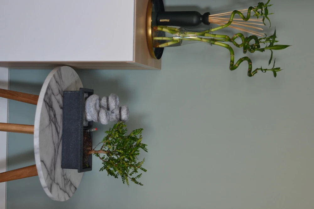 Set Bonsaï Et Cascade-pierres - Support L.30cm- H.25-30cm 3 Set Bonsaï Et Cascade-pierres - Support L.30cm- H.25-30cm – Image 3