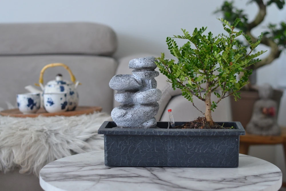 Set Bonsaï Et Cascade-pierres - Support L.30cm- H.25-30cm 2 Set Bonsaï Et Cascade-pierres - Support L.30cm- H.25-30cm – Image 2
