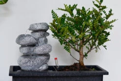 Set Bonsaï Et Cascade-pierres - Support L.30cm- H.25-30cm 11 Set Bonsaï Et Cascade-pierres - Support L.30cm- H.25-30cm -Emerald Soldes 6422e176e22588.29286272