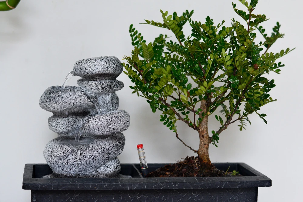 Set Bonsaï Et Cascade-pierres - Support L.30cm- H.25-30cm 6 Set Bonsaï Et Cascade-pierres - Support L.30cm- H.25-30cm – Image 6