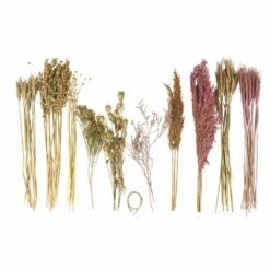 Assortiment De Fleurs Séchées -Emerald Soldes 6425847a28e7c1.91892144