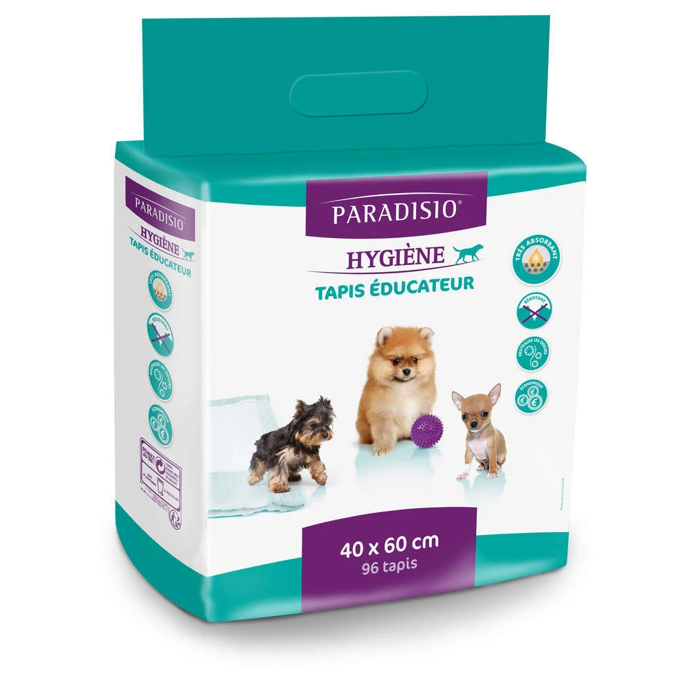 Tapis Educateurs Haute Qualité Super-absorbant 40x60cm : Par 96 1 Tapis Educateurs Haute Qualité Super-absorbant 40x60cm : Par 96