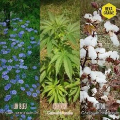 Coffret De Semences Textile Tissus Etoffe Et Fil 13 Coffret De Semences Textile Tissus Etoffe Et Fil -Emerald Soldes 642d66ace6f211.93606402