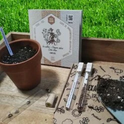 Coffret De Semences Textile Tissus Etoffe Et Fil 12 Coffret De Semences Textile Tissus Etoffe Et Fil -Emerald Soldes 642d66acef9529.41293408