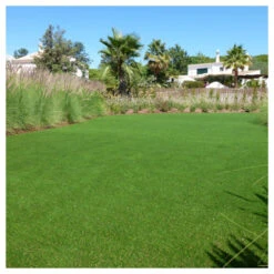 Gazon Synthétique Jardin D'été - 30mm - 1m X 8m -Emerald Soldes 645d646ab57299.80970846