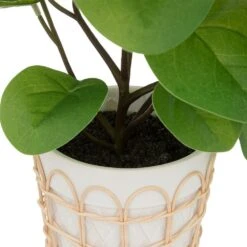 ATMOSPHERA Plante Artificielle Dans Pot En Céramique Et Rotin H 34 Cm -Emerald Soldes 64821b77f1afd7.11595530
