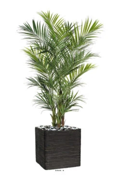 Palmier Kentia Artificiel Deluxe H 260 Cm 766 Feuilles