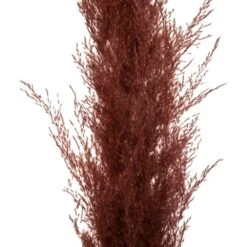 Set De 3 Fleurs Séchées "pampa Naturelle" - H110 Cm -Emerald Soldes 6483186e51d3d2.05693830