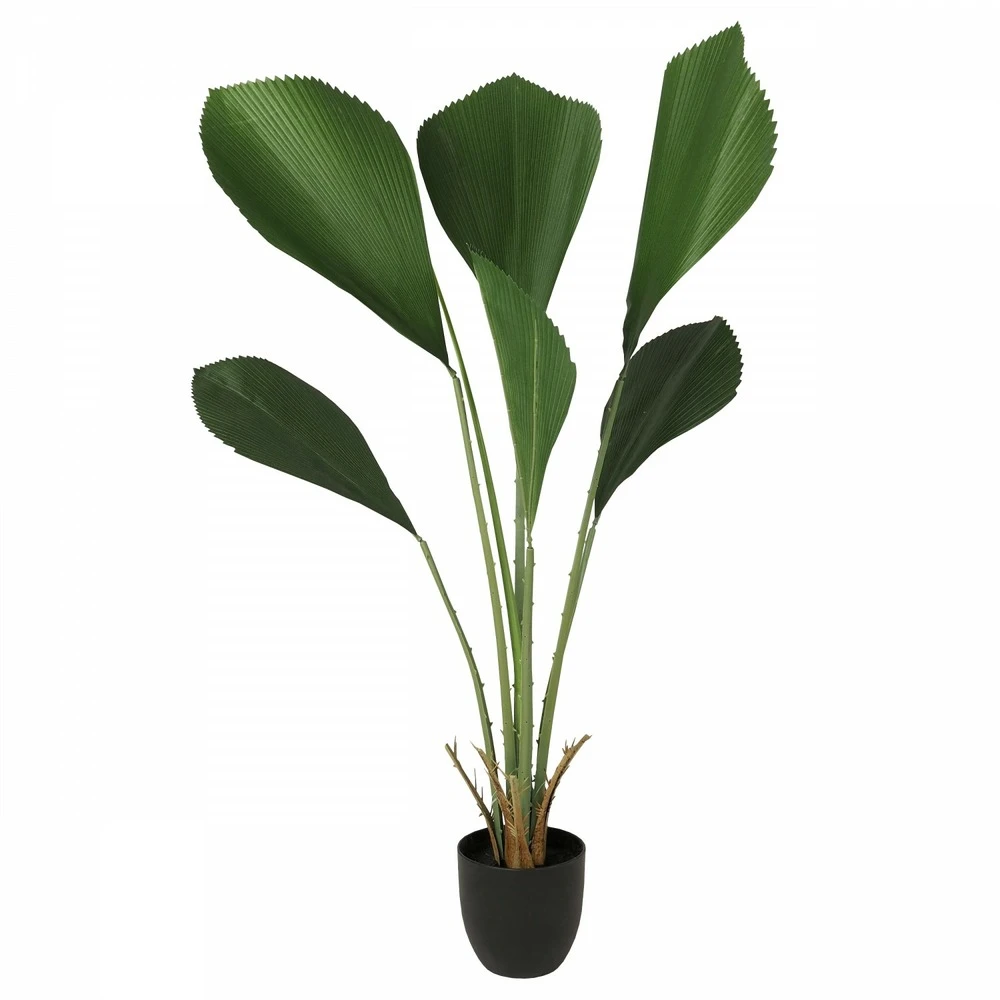 Palmier Artificiel Cuillère Licuala 110cm 2 Palmier Artificiel Cuillère Licuala 110cm – Image 2