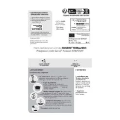 Géranium Zonale 'Sunrise® Fernando' Label Rouge : 10 Plants 9 Géranium Zonale 'Sunrise® Fernando' Label Rouge : 10 Plants -Emerald Soldes 697186 005