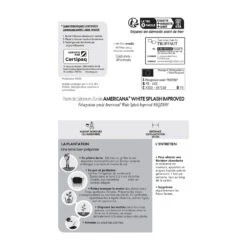 Géranium Zonale Americana® White Splash Improved'Label Rouge:10 Plants -Emerald Soldes 697188 1761607