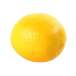 Citronnier X Meyer : AB C3L 9 Citronnier X Meyer : AB C3L -Emerald Soldes 697337 007