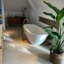 Strelitzia Nicolai Xxl - H180cm, ø24cm - Très Grande Plante D'intérieur 7 Strelitzia Nicolai Xxl - H180cm, ø24cm - Très Grande Plante D'intérieur -Emerald Soldes 6d77142b60f1d341