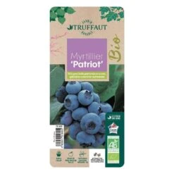 Myrtillier 'Patriot' Bio : Pot De 1,5 Litres -Emerald Soldes 791605 005