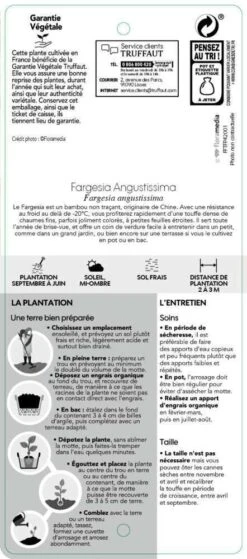 Bambou Non-traçant Fargesia Angustissima: Pot De 5 Litres 9 Bambou Non-traçant Fargesia Angustissima: Pot De 5 Litres -Emerald Soldes 825296 007