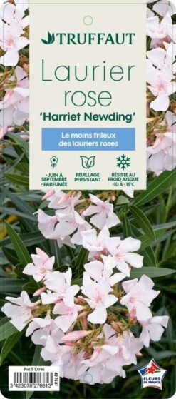 Nerium Oleander Harriet Newding' Pot 5L 6 Nerium Oleander Harriet Newding' Pot 5L -Emerald Soldes 827681 004