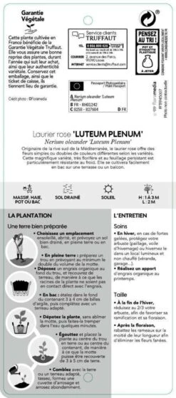Nerium Oleander Luteum Plenum' Pot 5L 6 Nerium Oleander Luteum Plenum' Pot 5L -Emerald Soldes 827684 003