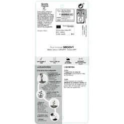 Framboisier Groovy®'Jdeboer005':pot 5L 9 Framboisier Groovy®'Jdeboer005':pot 5L -Emerald Soldes 831270 1432924