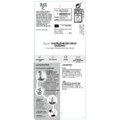 Figuier 'Madeleine Des 2 Saisons':pot 5L -Emerald Soldes 831275 002