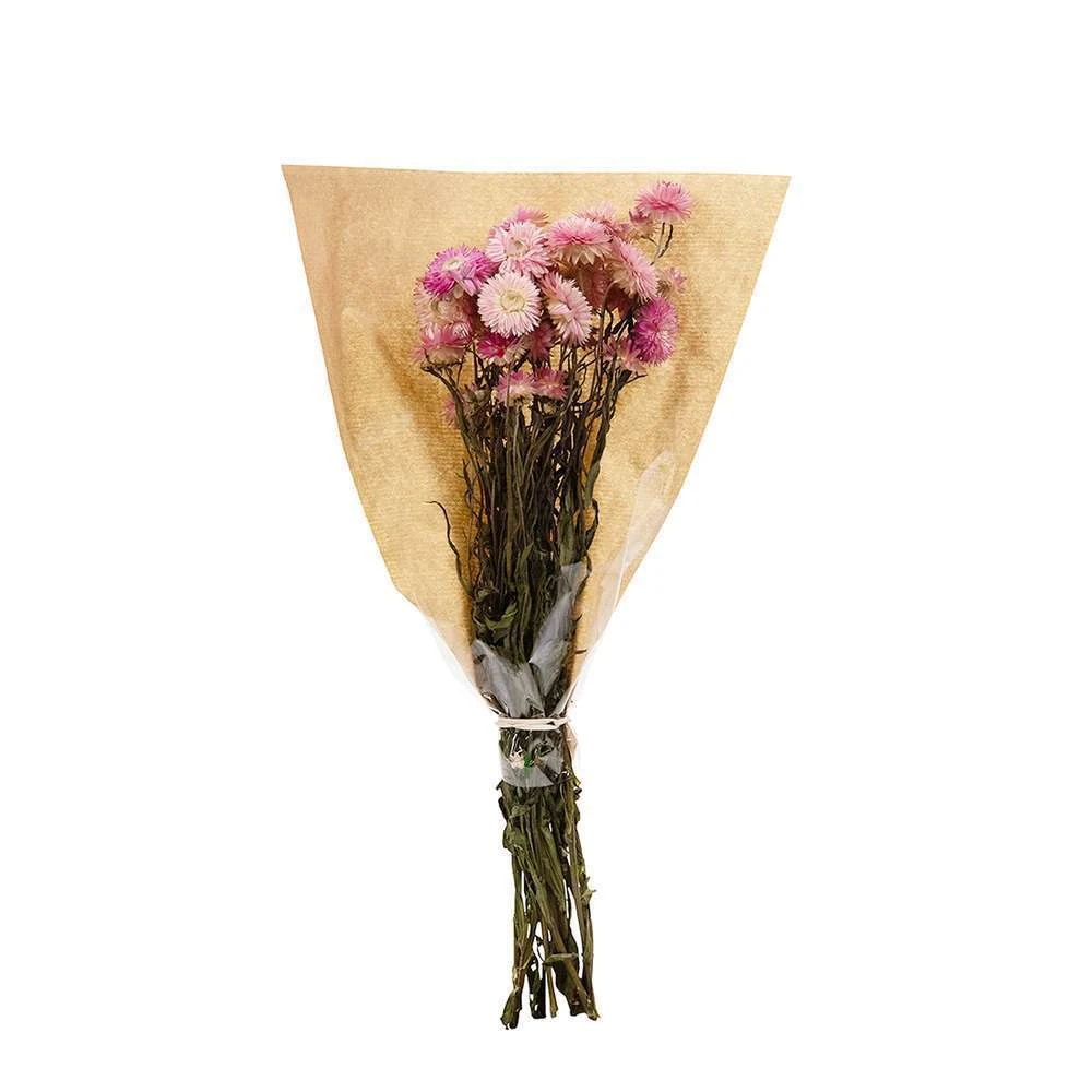 Bouquet De Fleurs Séchées Helichrysum Rose 2 Bouquet De Fleurs Séchées Helichrysum Rose – Image 2
