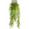 Emerald Asperges Plumosus Artificielle 80 Cm