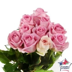 Botte 10 Roses ''Fleurs De France'' H.50cm Coloris Variables 7 Botte 10 Roses ''Fleurs De France'' H.50cm Coloris Variables -Emerald Soldes 907464 003