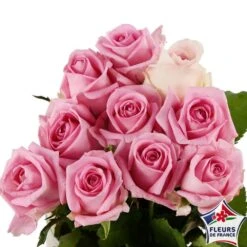 Botte 10 Roses ''Fleurs De France'' H.50cm Coloris Variables 8 Botte 10 Roses ''Fleurs De France'' H.50cm Coloris Variables -Emerald Soldes 907464 004