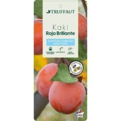 Kaki 'Rouge Brillant 1/2T Pot 15L 6 Kaki 'Rouge Brillant 1/2T Pot 15L -Emerald Soldes 952752 002