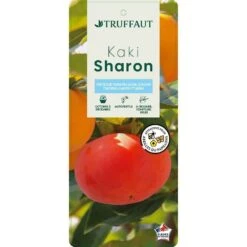 Kaki "Sharon" 1/2T Pot 15L -Emerald Soldes 952753 003