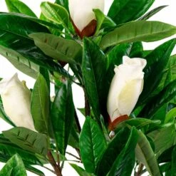 Magnolia Artificiel 90 Cm 7 Magnolia Artificiel 90 Cm -Emerald Soldes aa403eff3f249af0
