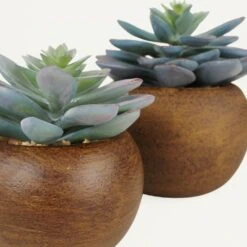 Succulente Artificielle Pot Bois 15cm Lot De 2 -Emerald Soldes b95dd14e3affb248