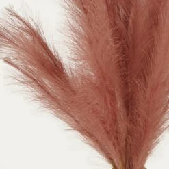 Plumeau Artificiel Terracotta 110cm Lot De 3 9 Plumeau Artificiel Terracotta 110cm Lot De 3 -Emerald Soldes c4332bdda24780af