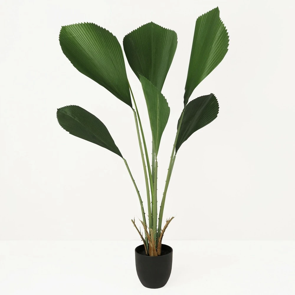 Palmier Artificiel Cuillère Licuala 110cm 1 Palmier Artificiel Cuillère Licuala 110cm