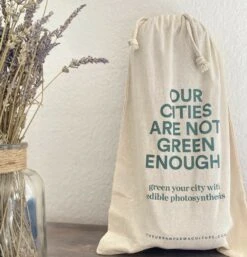 Kit Prêt à Planter - 3 Feuilles -Emerald Soldes ea572adcd263b51f