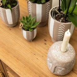 Echeveria Miranda - H13cm, ø9cm - Plante D'intérieur -Emerald Soldes f209523da1b249a5