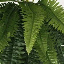 Fougère Artificiel En Bouquet 100cm 7 Fougère Artificiel En Bouquet 100cm -Emerald Soldes f2d783b46918b3b8