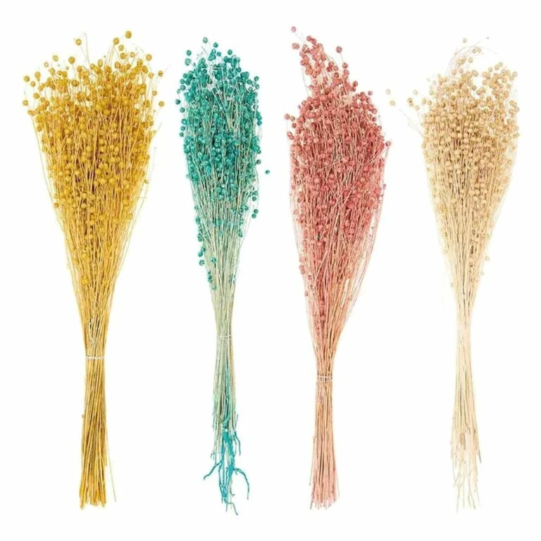 Emerald Soldes -Emerald Soldes 6425846a3ceb27.41726068 768x768 1